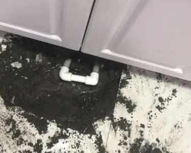 阿拉尔查漏水哪家好